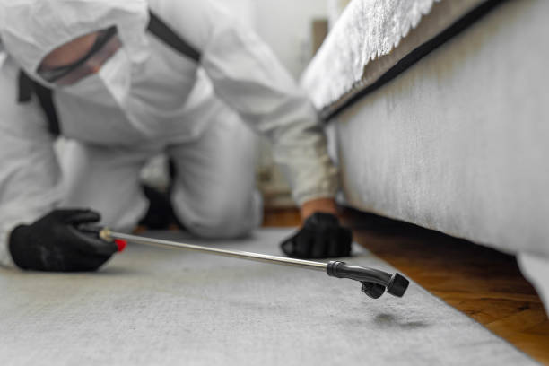 Professional Termite Control technician working in Rehobeth, AL
