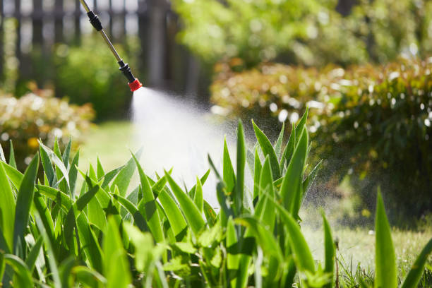 24/7 Emergency Termite Control experts in Rehobeth, AL