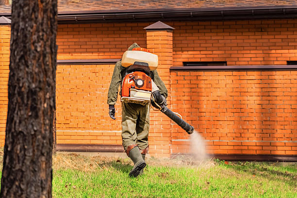Trusted Termite Control service in Rehobeth, AL - Nex Pest Control